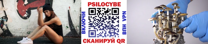 что такое Сычёвка Галлюциногенные грибы Psilocybine cubensis